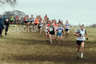Senior men, 2018 Northern Cross Country Champs., Harewood House, Leeds. Photo: David T. Hewitson/Sports for All Pics